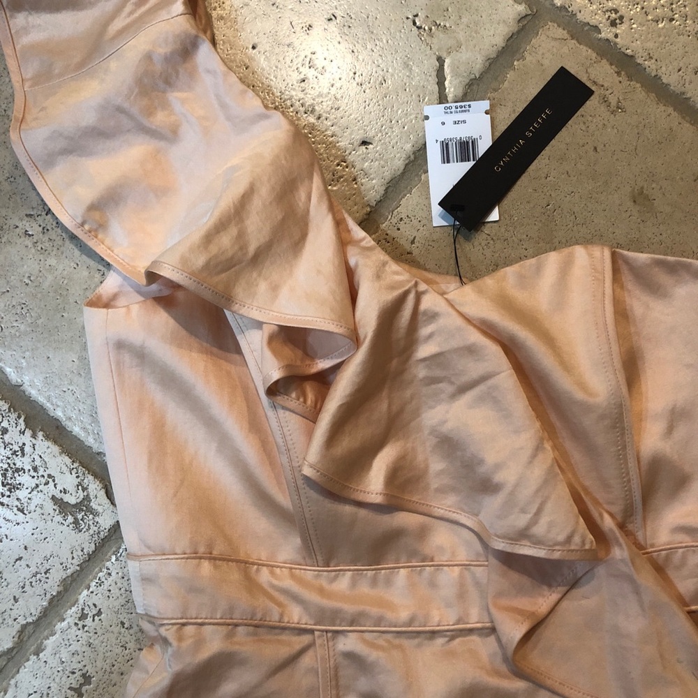 Cinthia steffe dress
